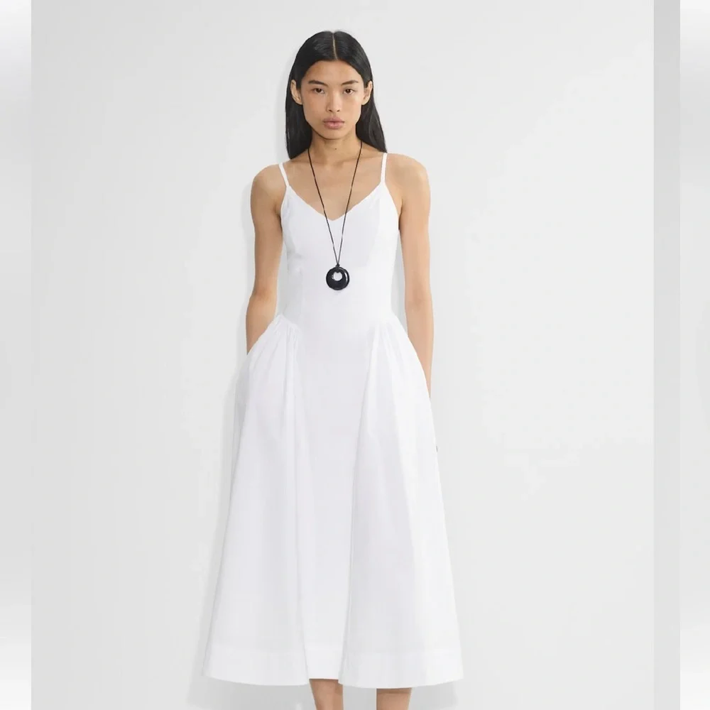 Aritzia - Babaton Technique Poplin Dress - 00 - Picture 1 of 8